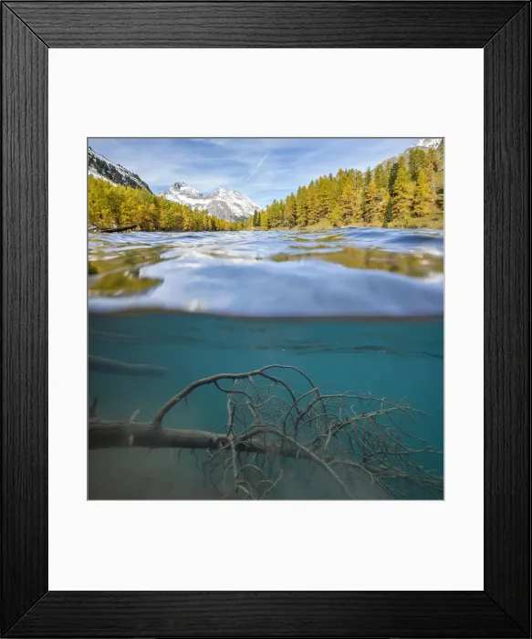 Framed Print : Lai da Palpuogna in autunn, Switzerland Framed Print : Lai da Palpuogna in autunn, Switzerland