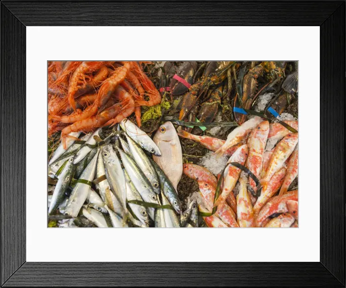 Framed Print : Fresh fish at the harbor of the sea town of Licata province of Agrigento Sicily Italy Framed Print : Fresh fish at the harbor of the sea town of Licata province of Agrigento Sicily Italy