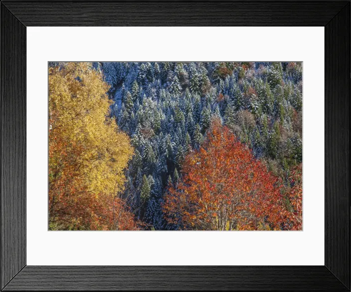 Framed Print : In autumn the landscape is transformed in a vibrant palette of contrasting colors Framed Print : In autumn the landscape is transformed in a vibrant palette of contrasting colors