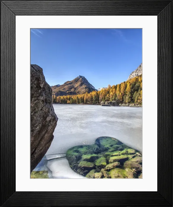 Framed Print : Lake Saoseo in the Poschiavo Valley almost completely frozen amid the autumn colors Framed Print : Lake Saoseo in the Poschiavo Valley almost completely frozen amid the autumn colors
