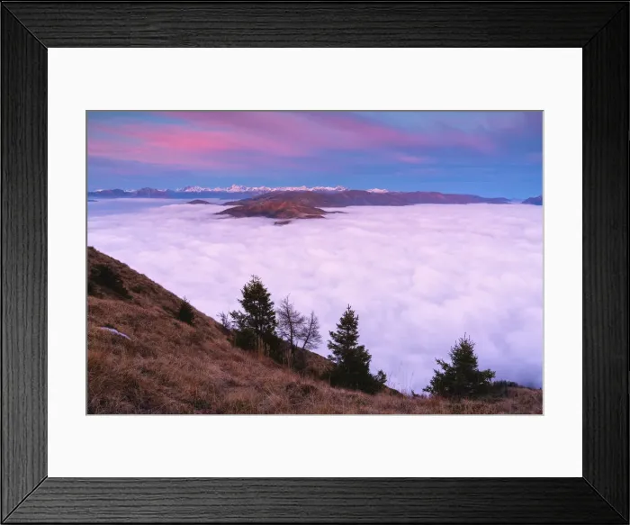 Framed Print : Trees at Sunset from Mount Guglielmo above the Clouds, Brescia province, Lombardy Framed Print : Trees at Sunset from Mount Guglielmo above the Clouds, Brescia province, Lombardy