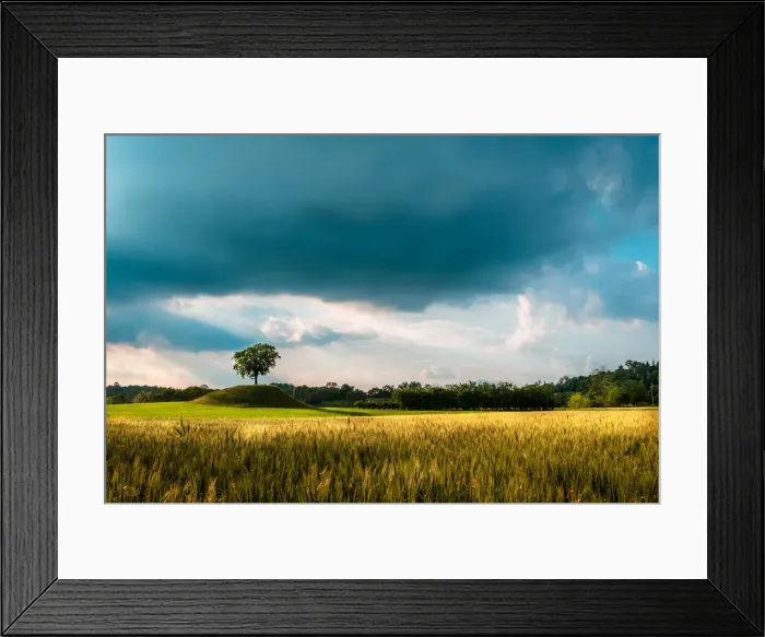 Framed Print : Fields of Friuli in a stormy spring day, Udine province, Friuli Venezia-Giulia region Framed Print : Fields of Friuli in a stormy spring day, Udine province, Friuli Venezia-Giulia region