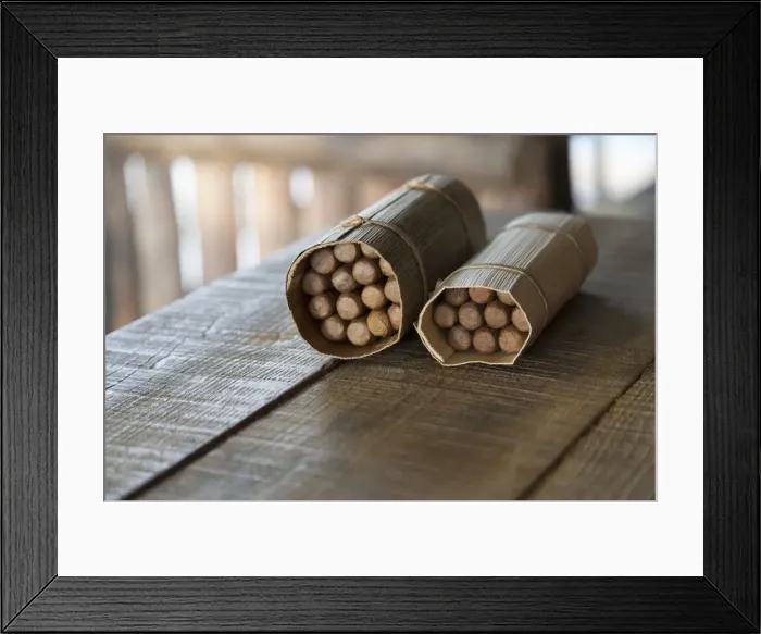 Framed Print : Handmade cigars in Vinales, Pinar del Rio Province, Cuba Framed Print : Handmade cigars in Vinales, Pinar del Rio Province, Cuba
