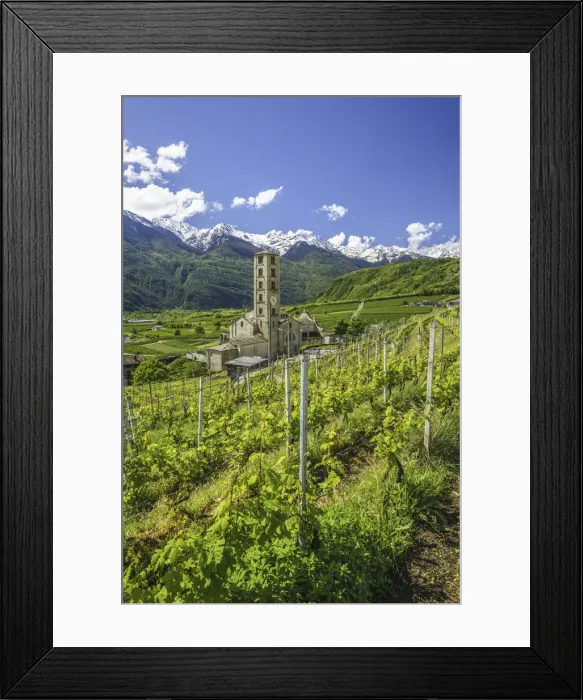 Framed Print : The Church of Bianzone surrounded by green vineyards of Valtellina. Province of Sondrio Framed Print : The Church of Bianzone surrounded by green vineyards of Valtellina. Province of Sondrio