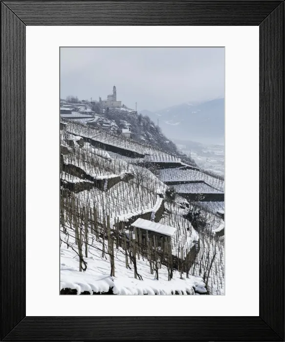 Framed Print : Vineyards of Grumello covered in snow near Montagna in Valtellina. Lombardy, Italy Framed Print : Vineyards of Grumello covered in snow near Montagna in Valtellina. Lombardy, Italy