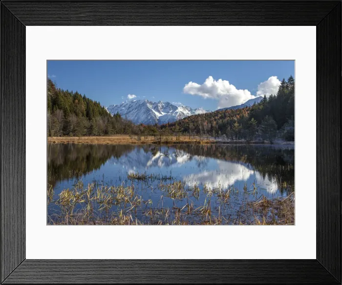 Framed Print : The Adamello Group is reflected in the swamp of the reserve Pian of Gembro at fall