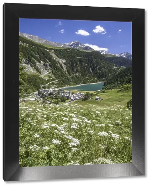 Summer blooming with view on Isola with its pond. Spluga Valley Chiavenna Valley Lombardy
