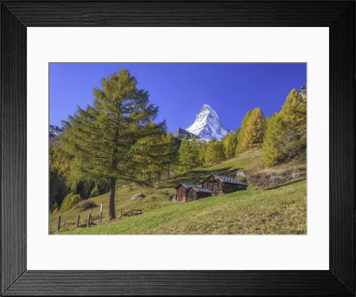 Framed Print : Huts on the pastures of Zermatt surrounded by yellowed larches and the Matterhorn Framed Print : Huts on the pastures of Zermatt surrounded by yellowed larches and the Matterhorn