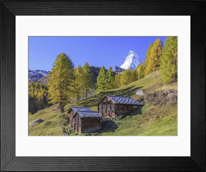 Framed Print : Huts on the pastures of Zermatt surrounded by yellowed larches and the Matterhorn Framed Print : Huts on the pastures of Zermatt surrounded by yellowed larches and the Matterhorn