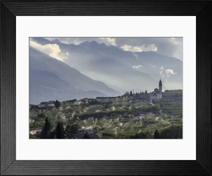 Framed Print : iffigating apple orchards, Ponte in Valtellina. Lombardy Italy Europe Framed Print : iffigating apple orchards, Ponte in Valtellina. Lombardy Italy Europe