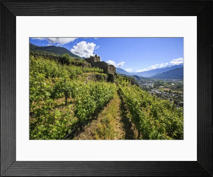 Framed Print : Vineyards on terraces around the Castle Grumello. Montagna in Valtellina. Sondrio Framed Print : Vineyards on terraces around the Castle Grumello. Montagna in Valtellina. Sondrio