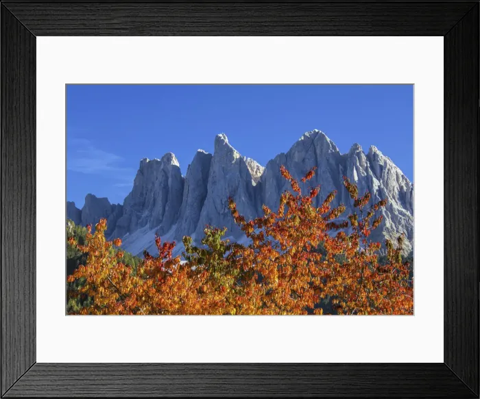 Framed Print : Colorful autumn trees frame the Geislerspitze Framed Print : Colorful autumn trees frame the Geislerspitze