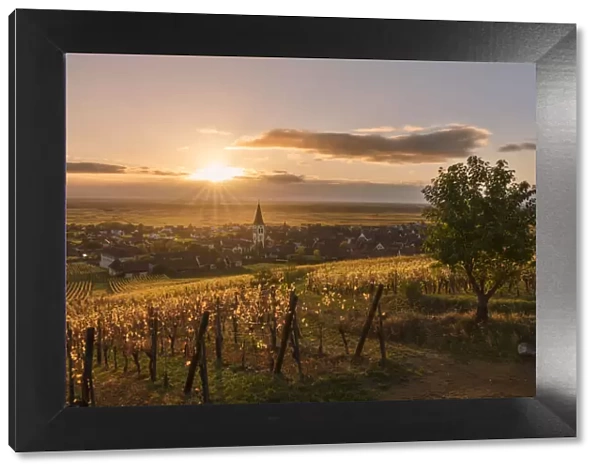 Village of Ammerschwihr at sunrise surrounded by vineyards of the Grand Cru along
