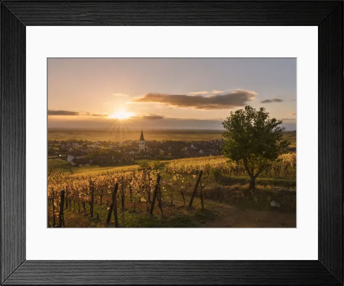Framed Print : Village of Ammerschwihr at sunrise surrounded by vineyards of the Grand Cru along Framed Print : Village of Ammerschwihr at sunrise surrounded by vineyards of the Grand Cru along