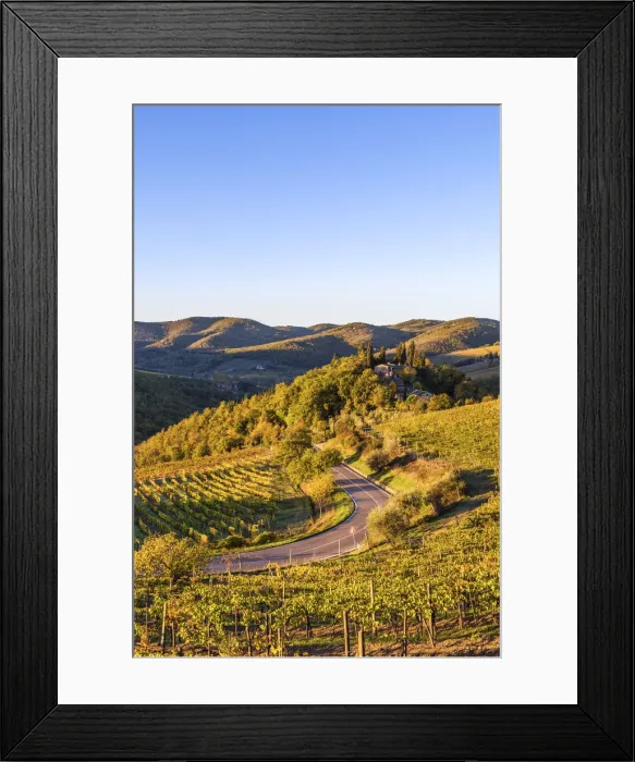 Framed Print : Greve in Chianti, Florence province, Tuscany, Italy. Farmhouse and vineyards at sunrise Framed Print : Greve in Chianti, Florence province, Tuscany, Italy. Farmhouse and vineyards at sunrise