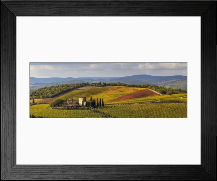 Framed Print : Gaiole in Chianti, Siena province, Tuscany, Italy. The vineyard of Brolio castle Framed Print : Gaiole in Chianti, Siena province, Tuscany, Italy. The vineyard of Brolio castle