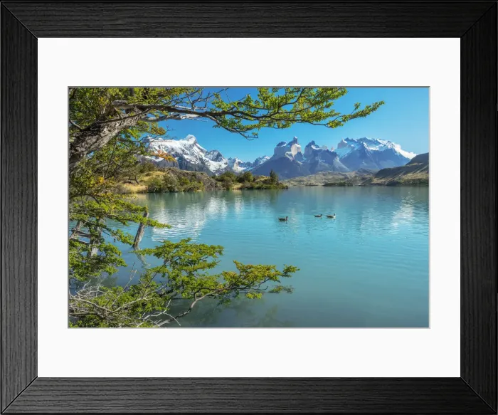 Framed Print : South America, Patagonia, Chile, Region de Magallanes y de la Antartica, Torres del Paine Framed Print : South America, Patagonia, Chile, Region de Magallanes y de la Antartica, Torres del Paine