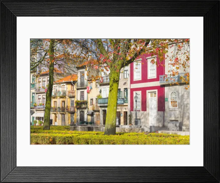 Framed Print : Autumn in Porto. Oporto city, Porto district, Portugal, Europe