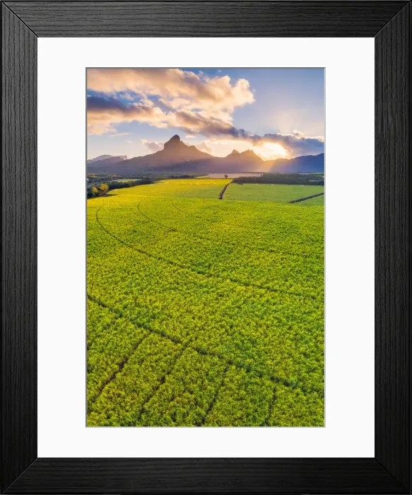 Framed Print : Aerial view of sugarcanes plantations with Rempart mountain and Trois mamelles mountain Framed Print : Aerial view of sugarcanes plantations with Rempart mountain and Trois mamelles mountain