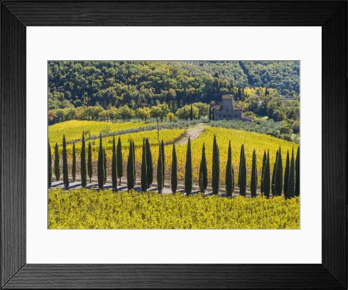 Framed Print : Albola castles vineyards, Radda in Chianti, Siena, Tuscany, Italy