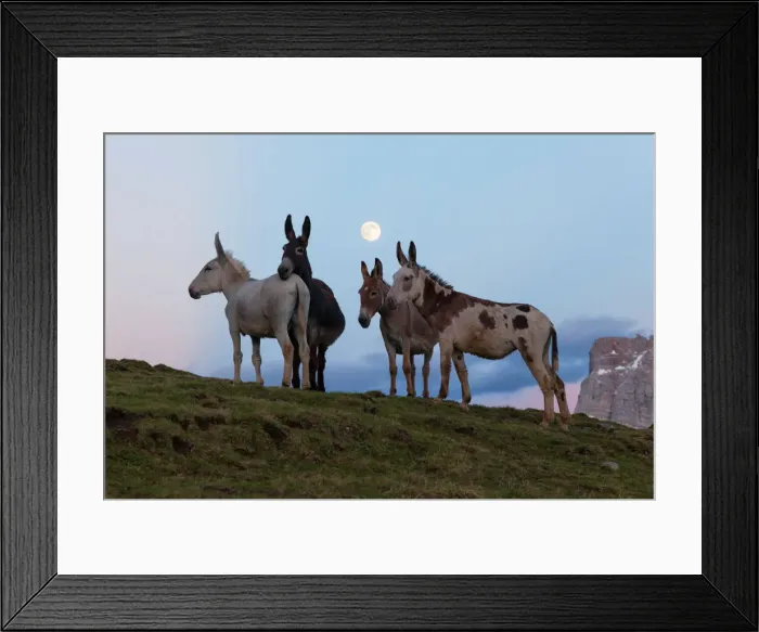 Framed Print : Mondeval pastures, Dolomites, San Vito di Cadore, Belluno, Veneto, Italy