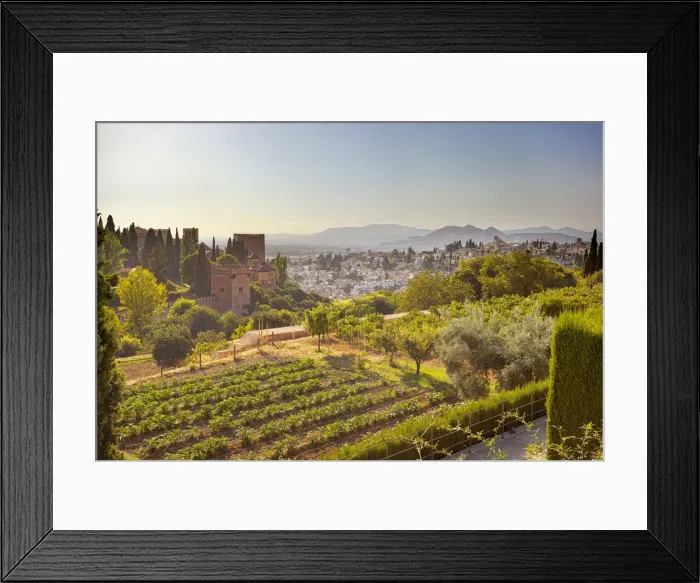Framed Print : The Alhambra complex and the Albaicin neighborhood from the gardens of Generalife Framed Print : The Alhambra complex and the Albaicin neighborhood from the gardens of Generalife