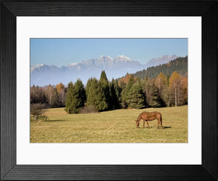 Framed Print : Montegal Alm, Limana, Prealps of Belluno, Veneto, Italy Framed Print : Montegal Alm, Limana, Prealps of Belluno, Veneto, Italy