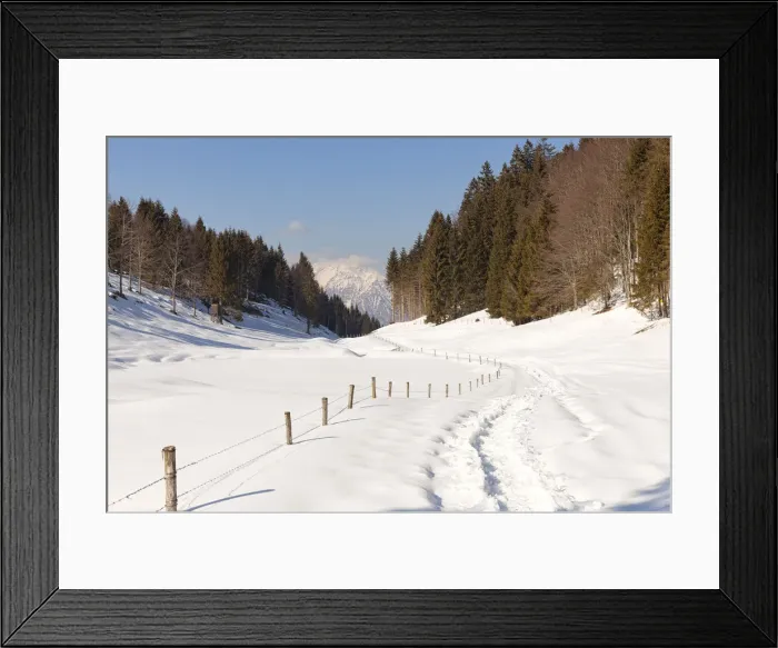 Framed Print : Footpath in Faldina Valley with Teverone Mount on background, Cansiglio Forest, Prealps of Belluno, Farra d‚AoAlpago, Belluno province, Veneto, Italy