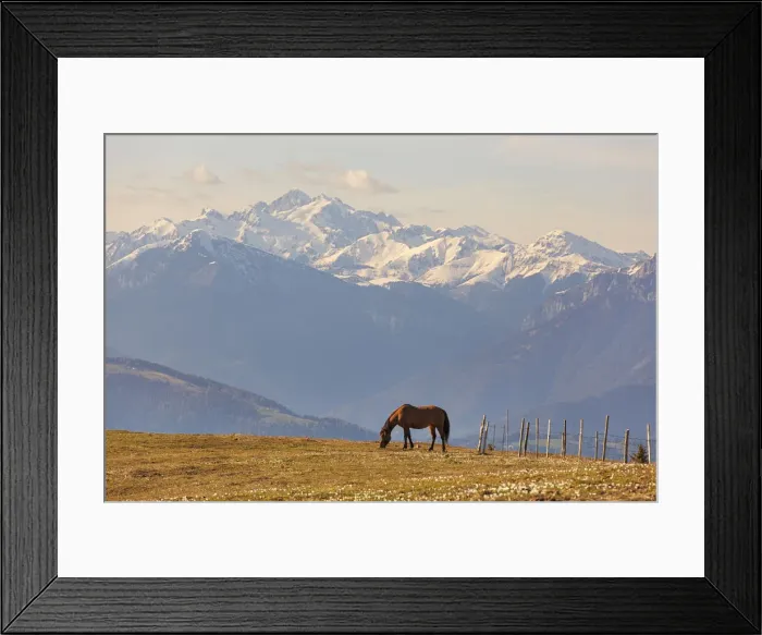 Framed Print : Horse grazing on pastures of Val Tosella Alm with Cima d‚AoAsta on the background, Monte Grappa, Prealps of Belluno, Seren del Grappa, Belluno province, Veneto, Italy Framed Print : Horse grazing on pastures of Val Tosella Alm with Cima d‚AoAsta on the background, Monte Grappa, Prealps of Belluno, Seren del Grappa, Belluno province, Veneto, Italy