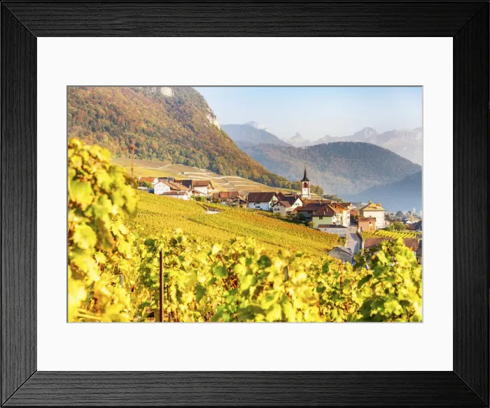 Framed Print : Yvorne, Canton of Vaud, Switzerland, Europe