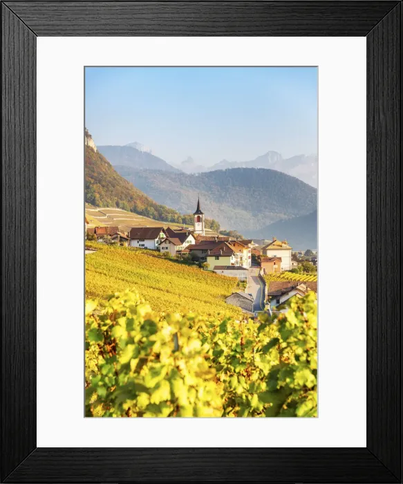 Framed Print : Yvorne, Canton of Vaud, Switzerland, Europe Framed Print : Yvorne, Canton of Vaud, Switzerland, Europe