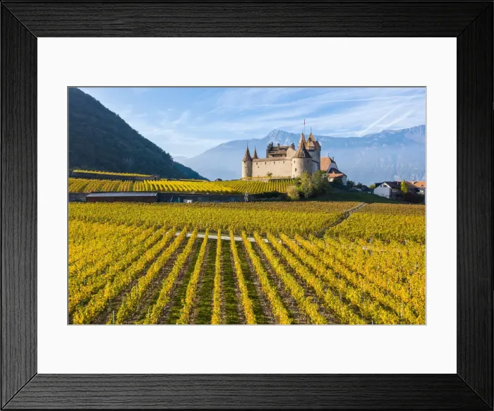 Framed Print : Aigle Castle, Aigle, Canton of Vaud, Switzerland, Europe Framed Print : Aigle Castle, Aigle, Canton of Vaud, Switzerland, Europe