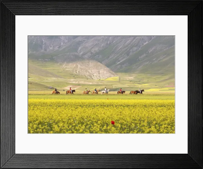 Framed Print : Europe Italy, Umbria, Castelluccio di Norcia. Horse ride through meadows Framed Print : Europe Italy, Umbria, Castelluccio di Norcia. Horse ride through meadows
