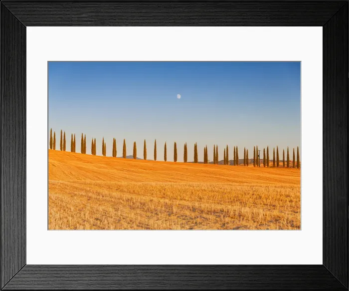 Framed Print : Europe, Italy, Siena district, Orcia Valley, San Quirico d Orcia Framed Print : Europe, Italy, Siena district, Orcia Valley, San Quirico d Orcia