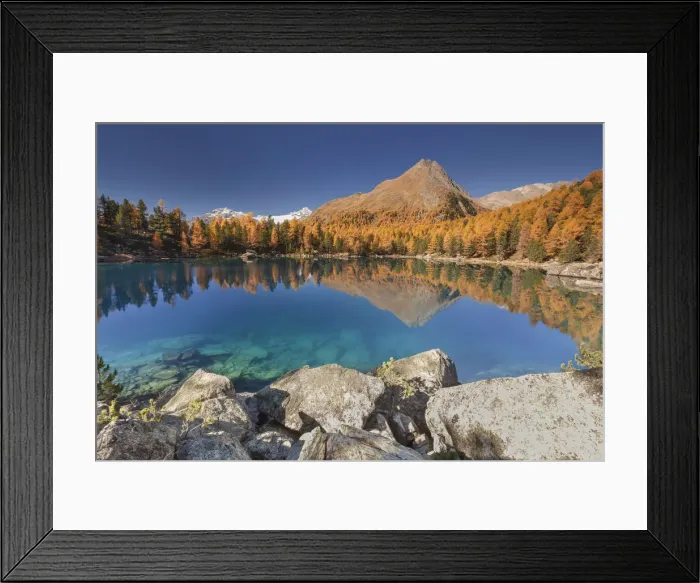 Framed Print : A perfect autumn day between in yellow, blue and turquoise colors, lake Saoseo, Poschiavo Framed Print : A perfect autumn day between in yellow, blue and turquoise colors, lake Saoseo, Poschiavo
