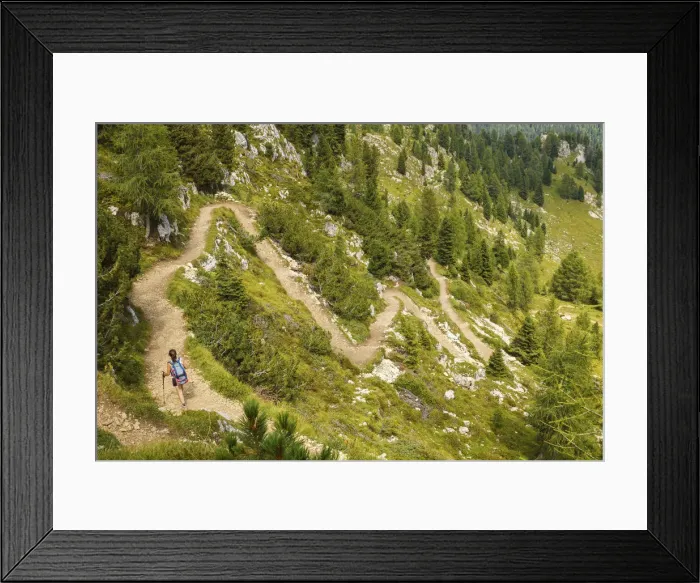 Framed Print : Hiker walks on the track of Castellazzo mount, Rolle Pass, Trento province, Trentino Framed Print : Hiker walks on the track of Castellazzo mount, Rolle Pass, Trento province, Trentino