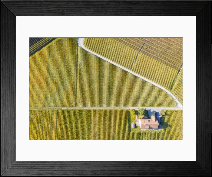 Framed Print : Vineyards of Aigle, Aigle, Canton of Vaud, Switzerland, Europe Framed Print : Vineyards of Aigle, Aigle, Canton of Vaud, Switzerland, Europe