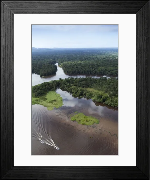 Framed Print : Costa Rica, Limon province, Tortuguero National Park, aerial view of a boat on Framed Print : Costa Rica, Limon province, Tortuguero National Park, aerial view of a boat on