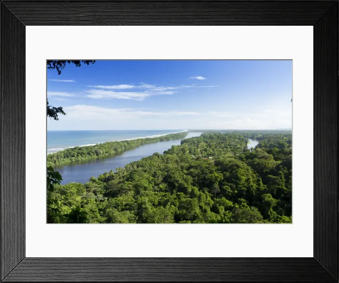 Framed Print : Costa Rica, Limon province, Limon, Tortuguero National Park, the Tortuguero river Framed Print : Costa Rica, Limon province, Limon, Tortuguero National Park, the Tortuguero river