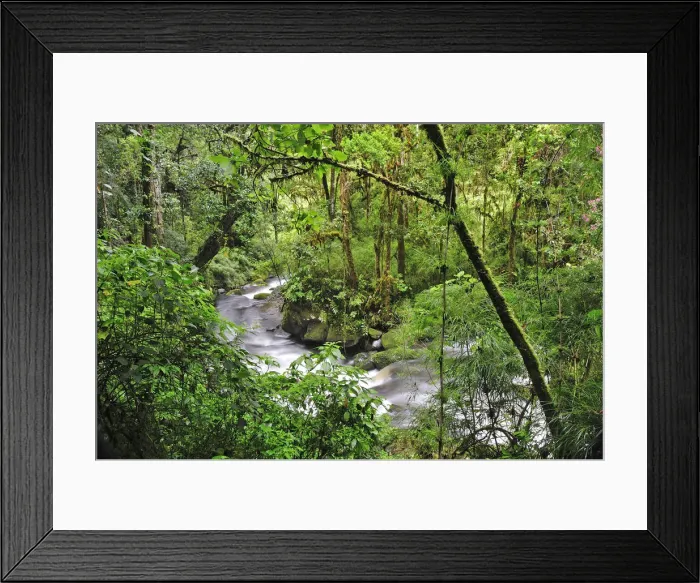 Framed Print : Central America, Costa Rica, Stream in the ungle Framed Print : Central America, Costa Rica, Stream in the ungle