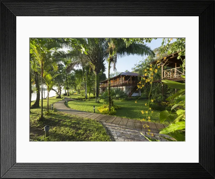 Framed Print : Costa Rica, Limon province, Tortuguero National Park, Tortugal ecotourism lodge Framed Print : Costa Rica, Limon province, Tortuguero National Park, Tortugal ecotourism lodge