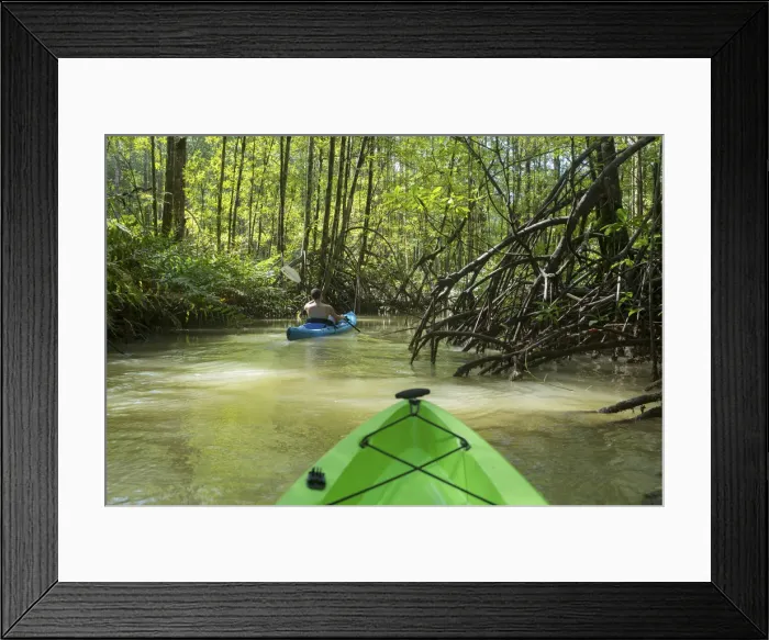 Framed Print : Central America, Costa Rica, Puntarenas, Golfito, Golfo Dulce, kayakers on riversin