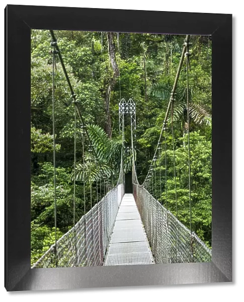 Central America, Costa Rica, Alajuela, La Fortuna, Mistico Arenal Hanging Bridges Park