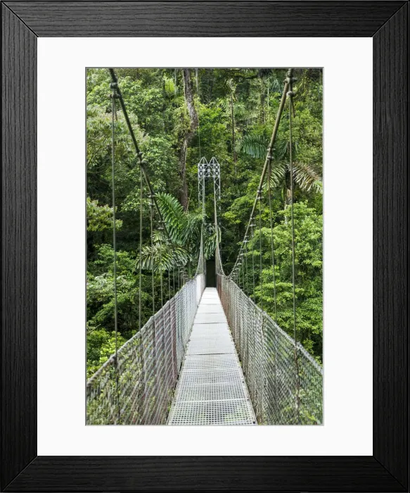 Framed Print : Central America, Costa Rica, Alajuela, La Fortuna, Mistico Arenal Hanging Bridges Park Framed Print : Central America, Costa Rica, Alajuela, La Fortuna, Mistico Arenal Hanging Bridges Park