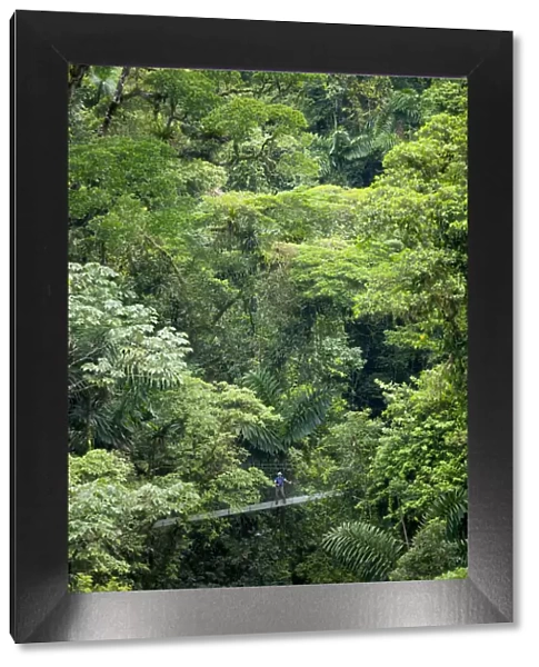 Central America, Costa Rica, Alajuela, La Fortuna, Mistico Arenal Hanging Bridges Park
