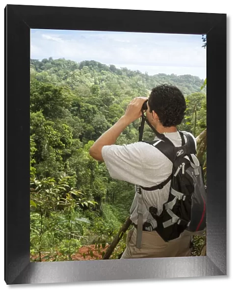 Central America, Costa Rica, Osa Peninsula, a rainforest guide looking through binoculars