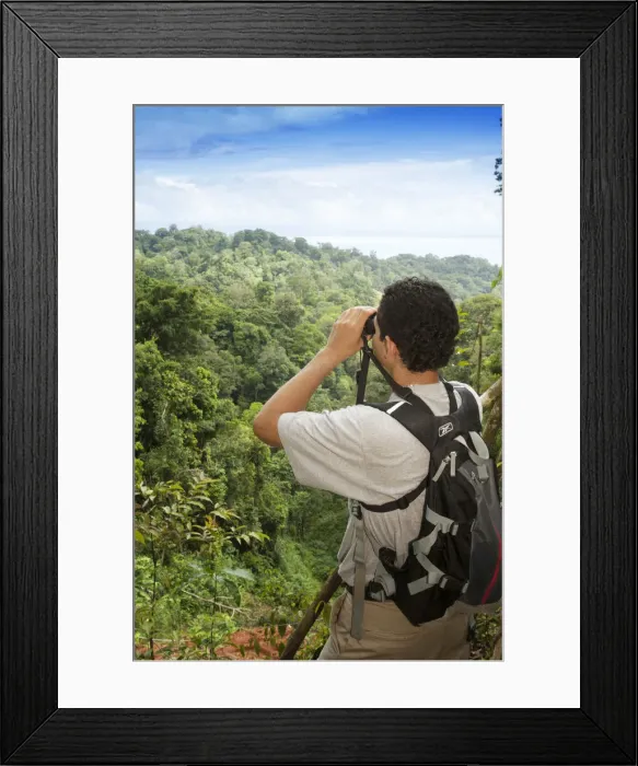 Framed Print : Central America, Costa Rica, Osa Peninsula, a rainforest guide looking through binoculars Framed Print : Central America, Costa Rica, Osa Peninsula, a rainforest guide looking through binoculars