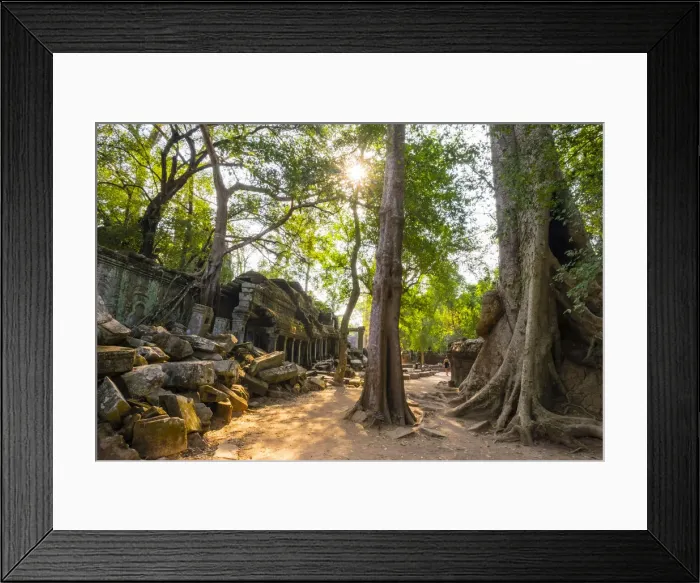 Framed Print : Ta Prohm temple (Rajavihara), Angkor, UNESCO World Heritage Site, Siem Reap Province Framed Print : Ta Prohm temple (Rajavihara), Angkor, UNESCO World Heritage Site, Siem Reap Province