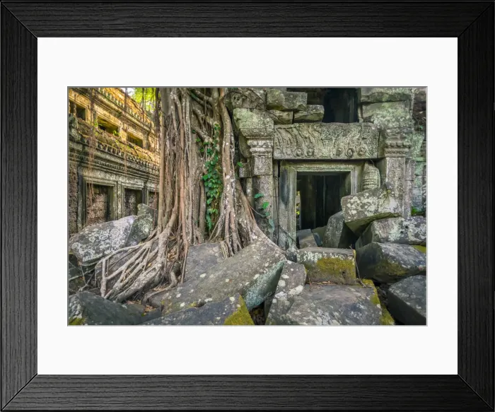 Framed Print : Tree roots at Ta Prohm temple ruins, Angkor, UNESCO World Heritage Site, Siem Reap Framed Print : Tree roots at Ta Prohm temple ruins, Angkor, UNESCO World Heritage Site, Siem Reap