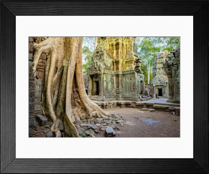 Framed Print : Ta Prohm temple ruins, Angkor, UNESCO World Heritage Site, Siem Reap Province, Cambodia Framed Print : Ta Prohm temple ruins, Angkor, UNESCO World Heritage Site, Siem Reap Province, Cambodia